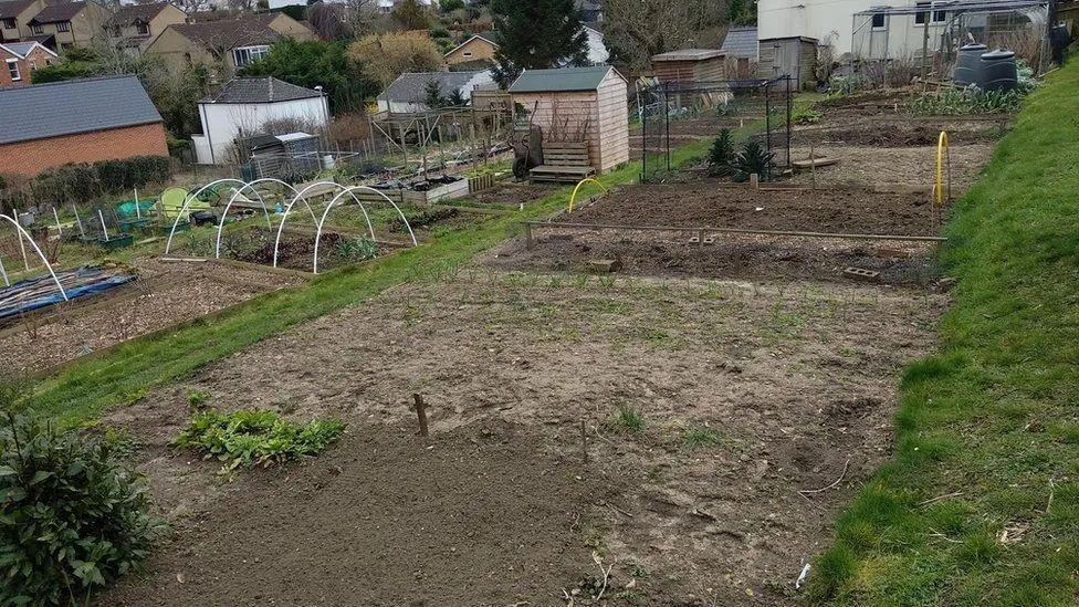 An allotment with individual plots of earth. There are sheds, compost bins and nets in the photo.