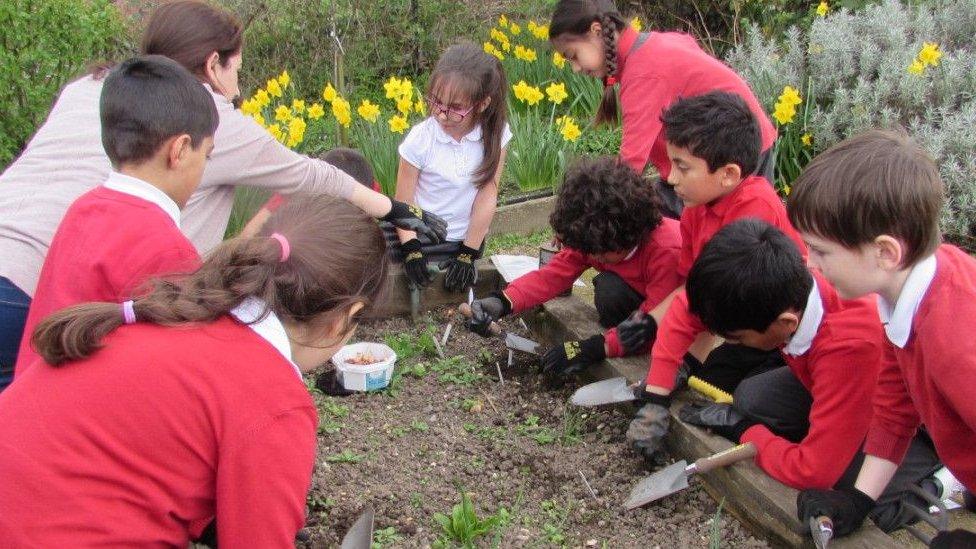 children planting their pants