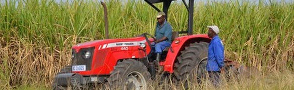 Farm owners at the Ziphophozele farm, outside Durban