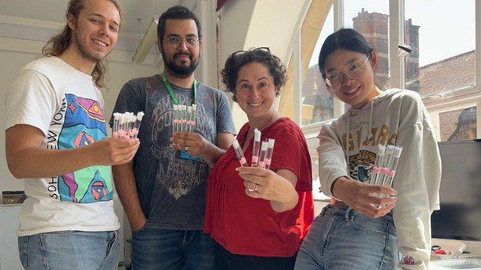 Two men and two women holding up test tubes containing ants for research into ants