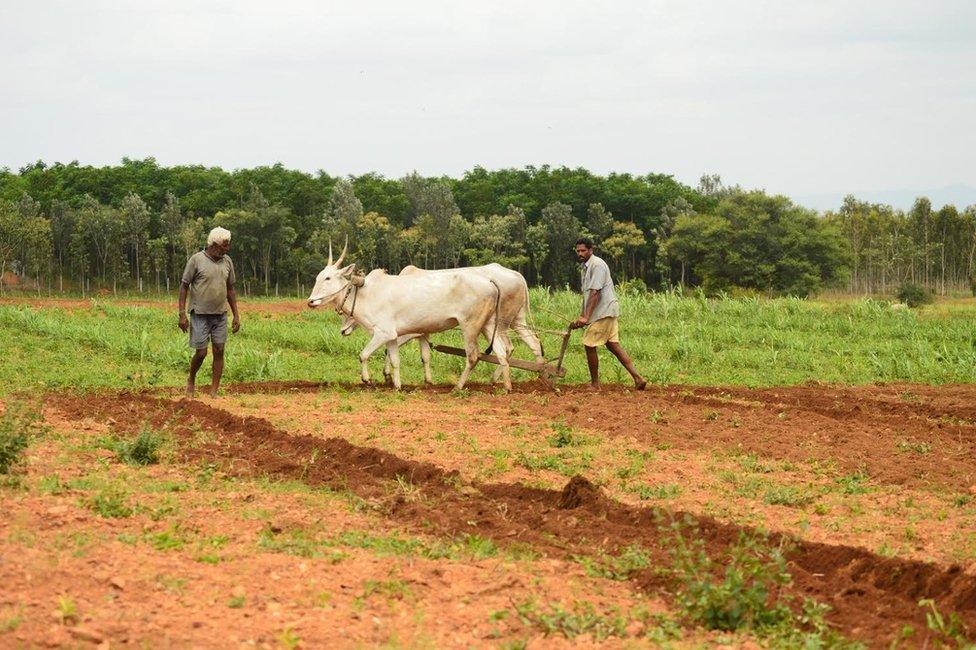 farmer in Mandya district