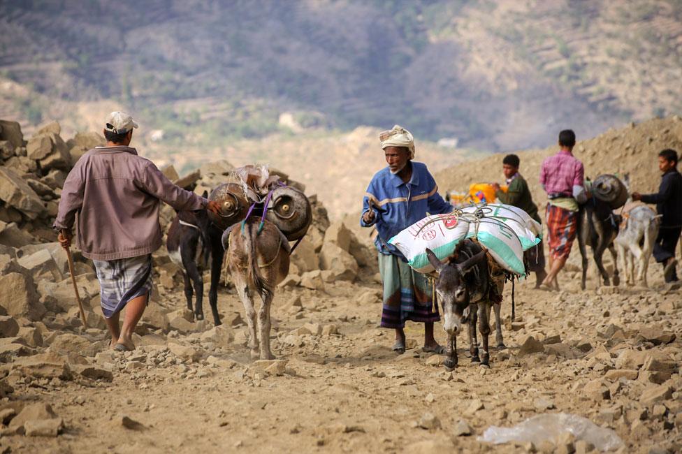 Donkeys carrying gas canisters