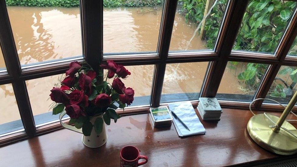 View of flooded garden