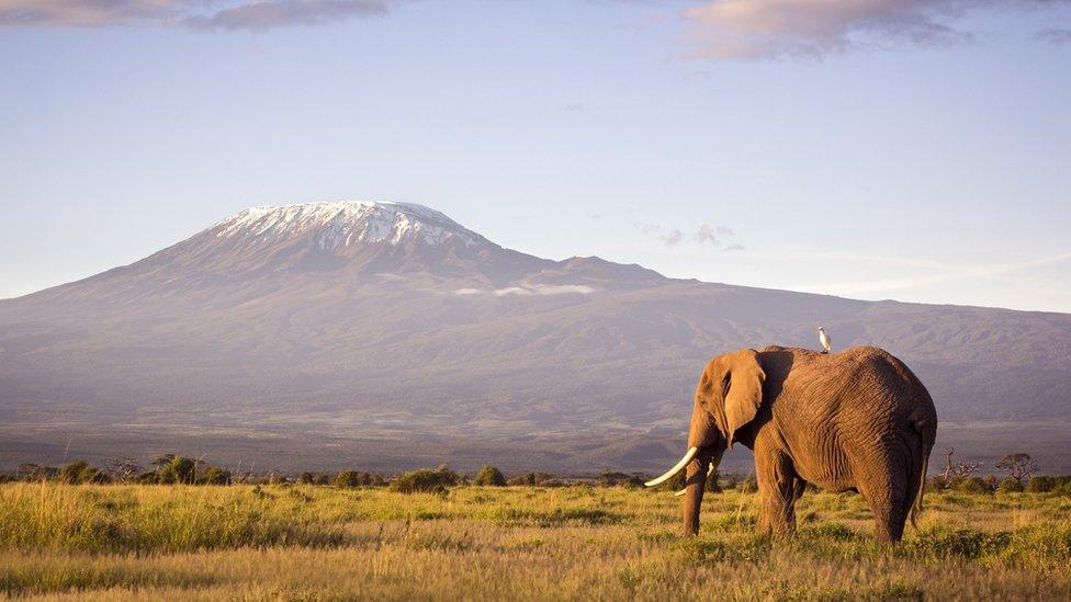 Mount Kilimanjaro.