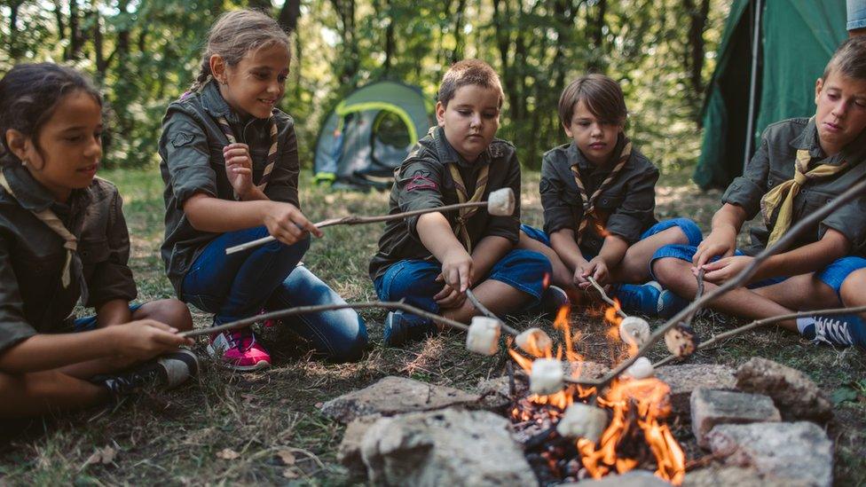 kids round a campfire