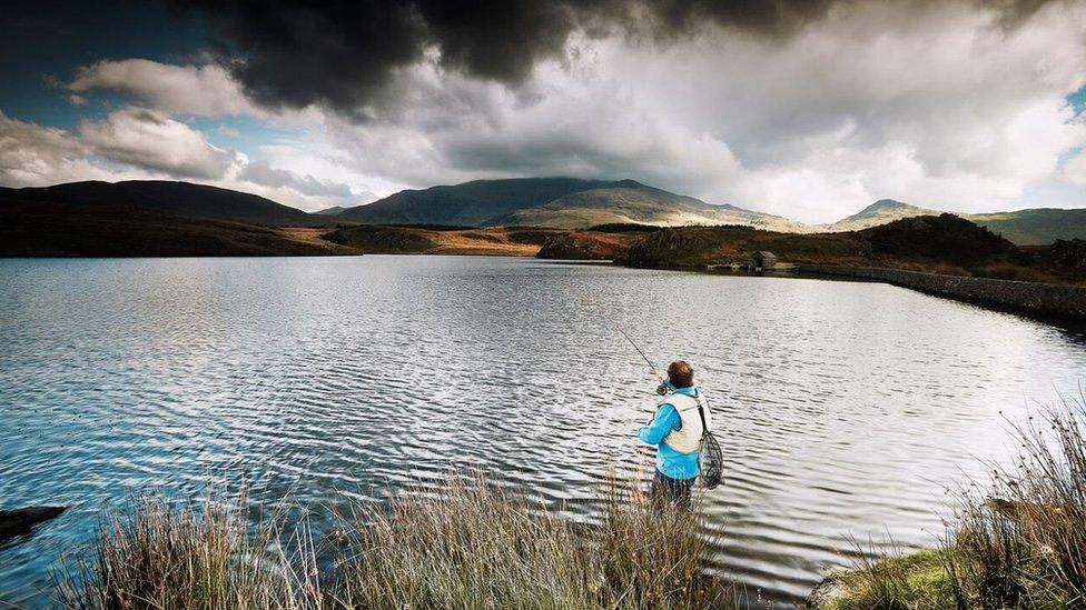 Enid dawel ar Lyn Padarn