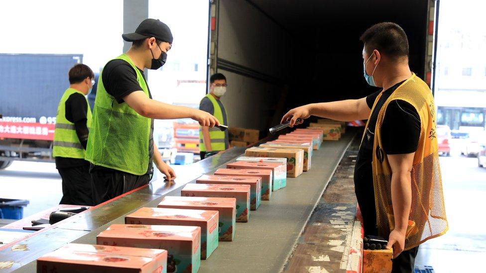 Boxes of cherries move along a conveyor belt into a SF Express truck at a freight transportation center of an airport on May 31, 2022 in Dalian, Liaoning Province of China.