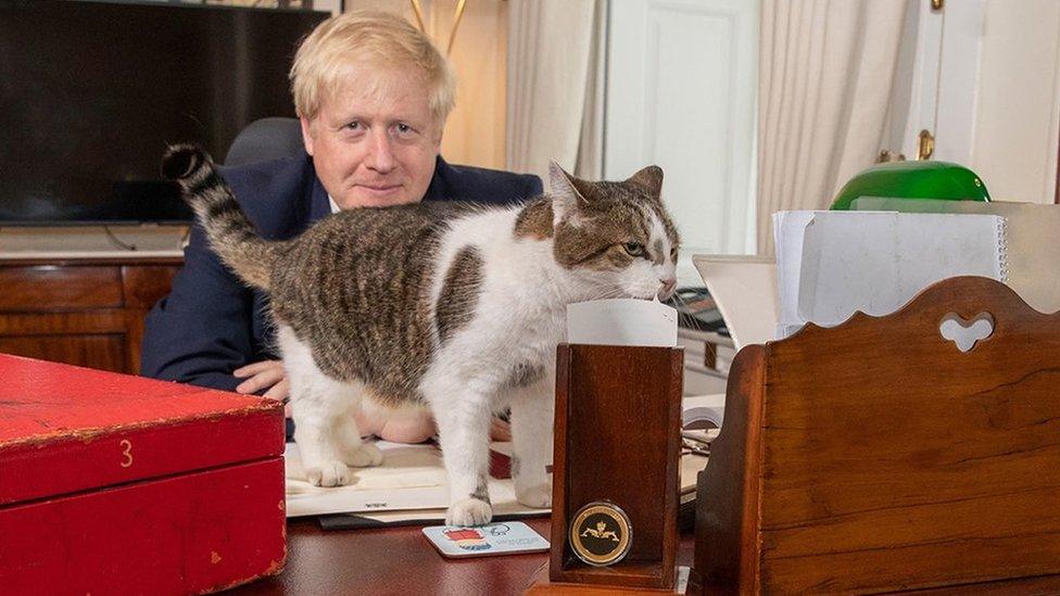 Larry the cat with Prime Minister Boris Johnson