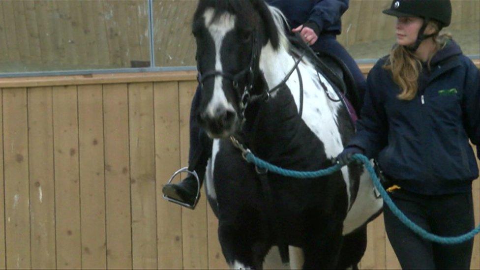 Student with a horse