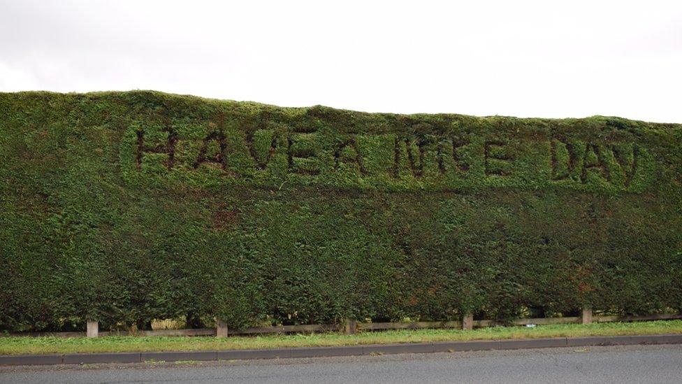 Have a nice day written in a hedge