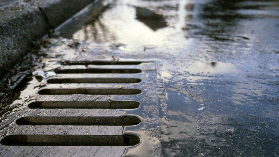 Drain grates