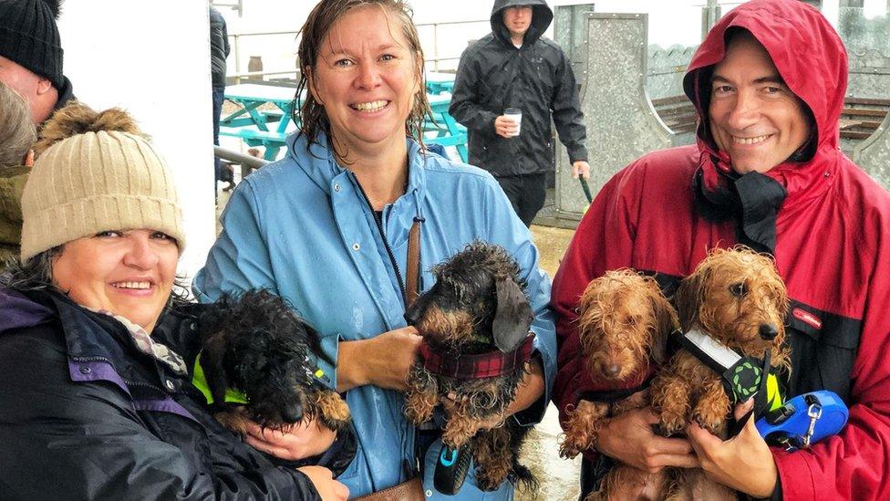 Group of dog owners and their dogs.