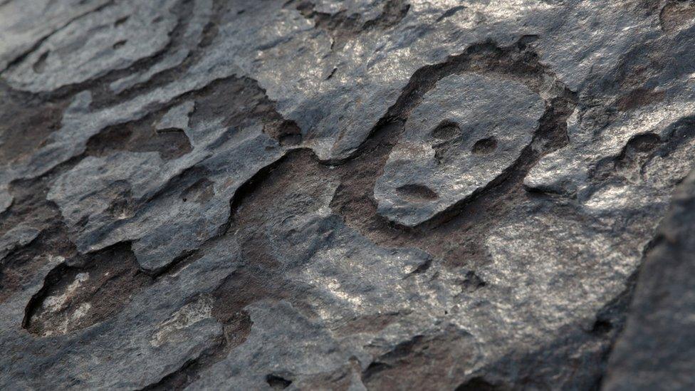 Amazon riverbank ancient stone carvings