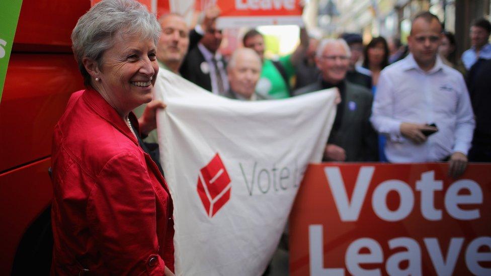 Gisela Stuart campaigning for Vote Leave in 2016