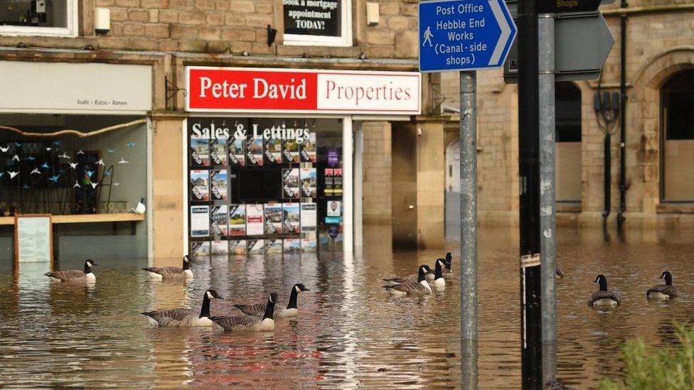 Geese-swimming-in-streets-in-Hebden-Bridge.