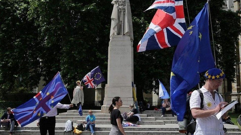 Pro-EU demonstrators outside Parliament