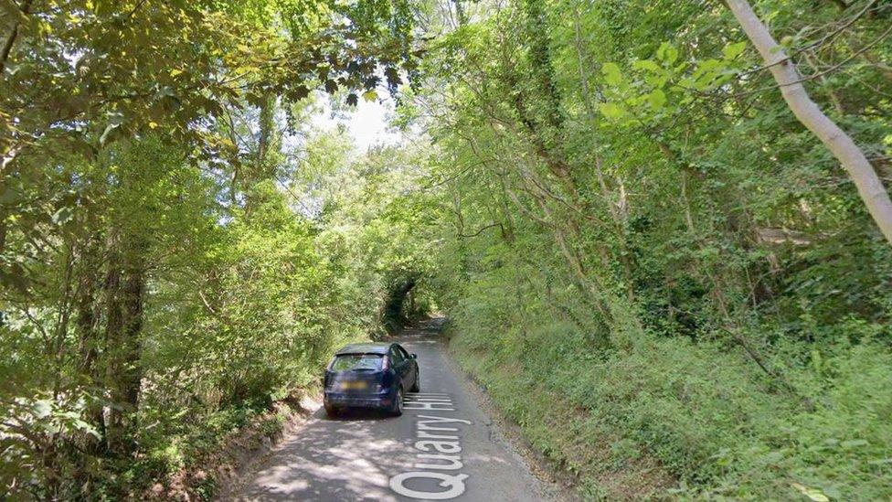 A lane running through woodland on a sunny day