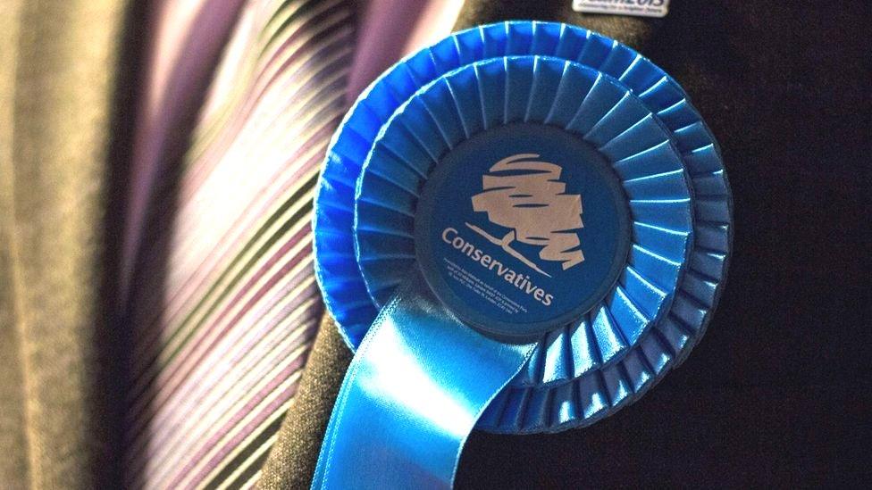 Conservative party rosette