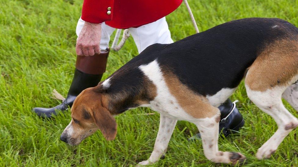 Huntsman walking beside a dog