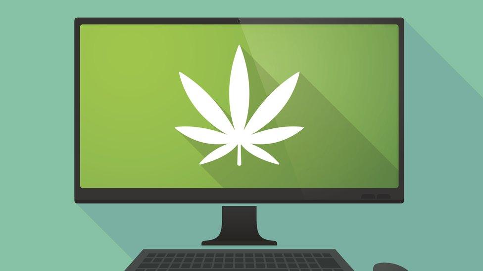 Cannabis leaf on a computer