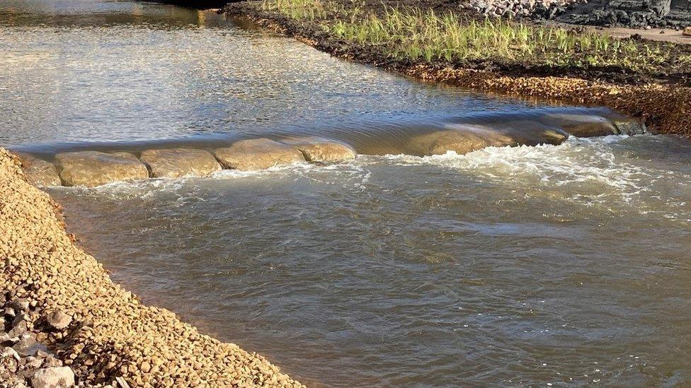 The River Avon's channel in Salisbury, with flowing water and a small rock weir