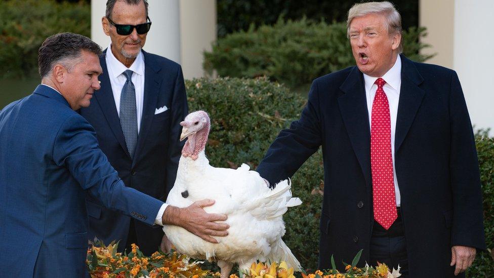 Donald-trump-with-turkey.