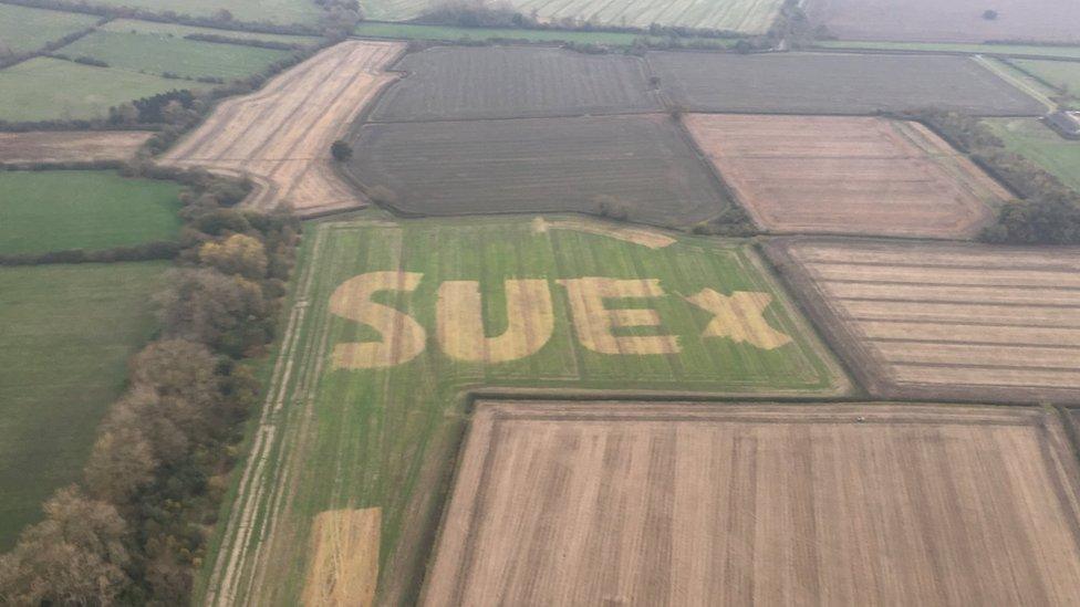 Sue in field