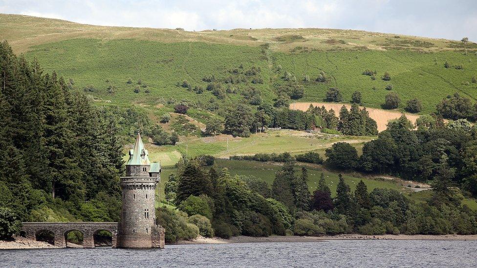 A view of Lake Vyrnwy