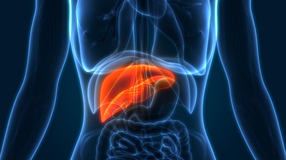 Graphic highlighting liver cancer