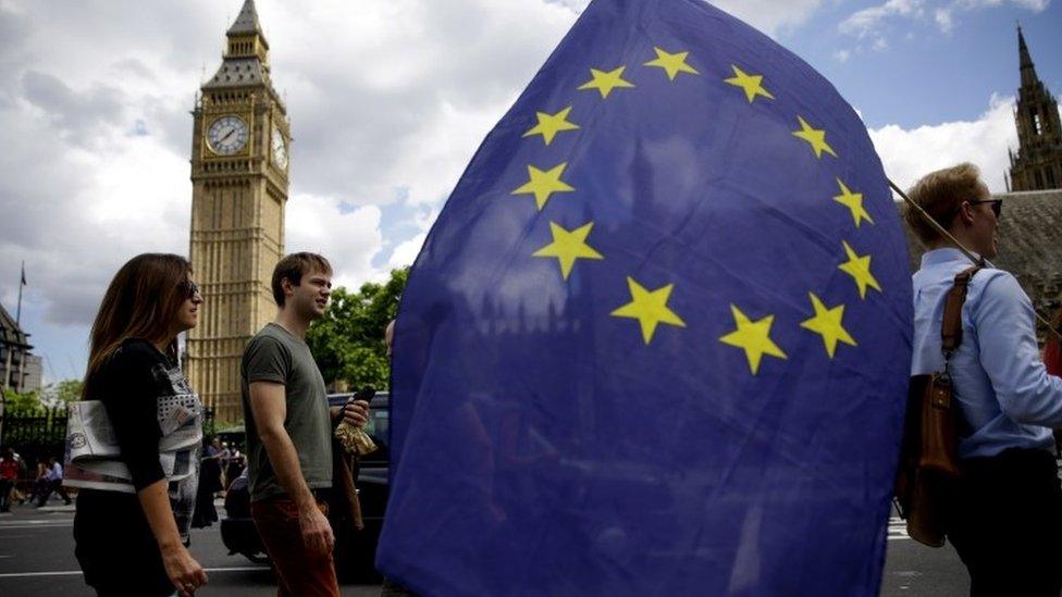 Remain supporter with EU flag