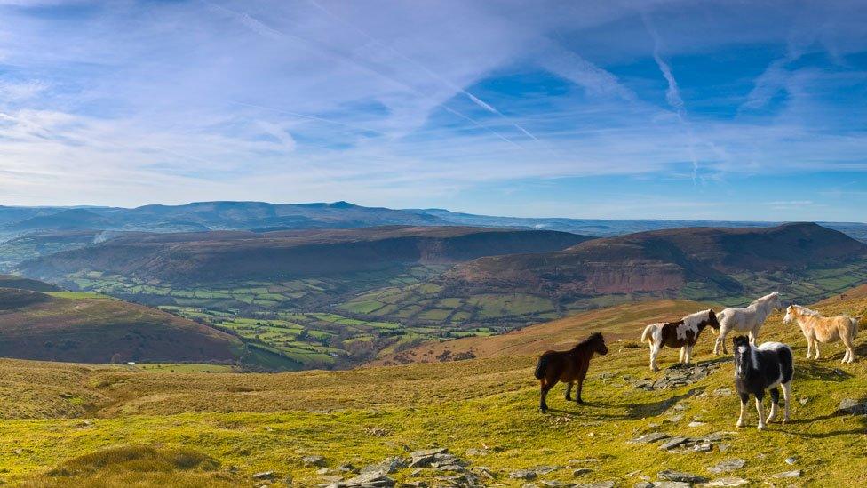 Brecon Beacons