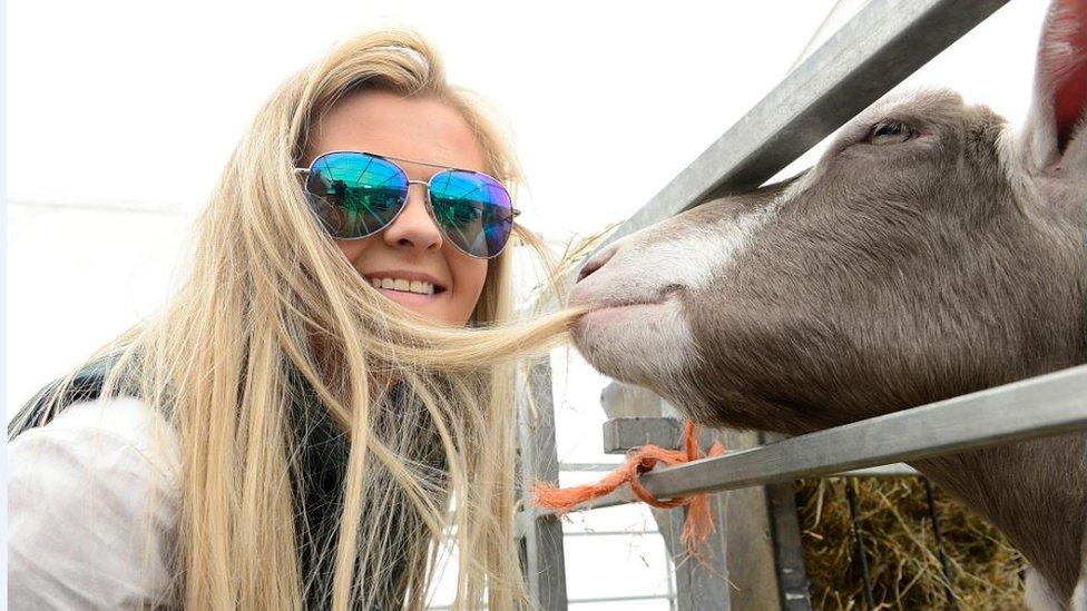 Woman beside cow at gate