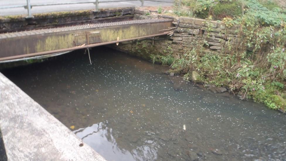 River Medlock pollution