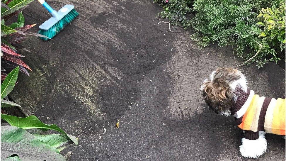 Lava ash built up in Faye Dunstan's garden in Guatemala