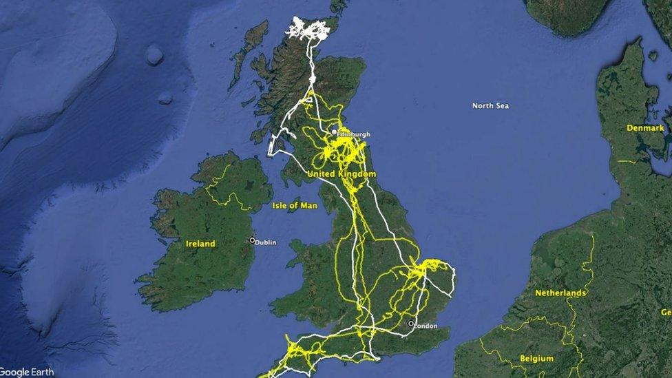 Sea eagle tracker map