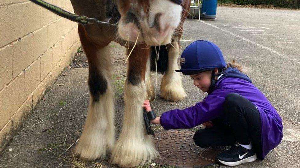 Lilly and horse