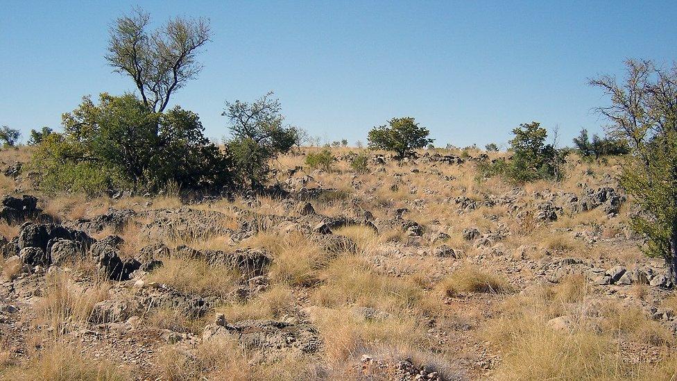 Riversleigh's ancient landscape