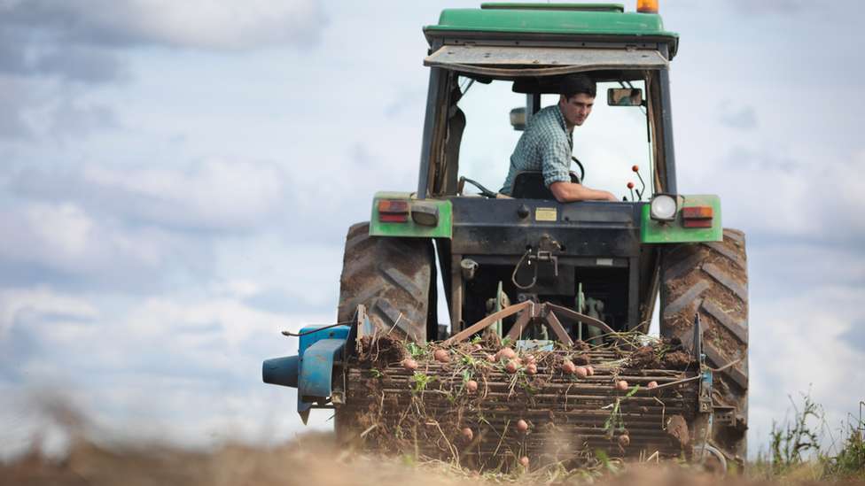 tractor