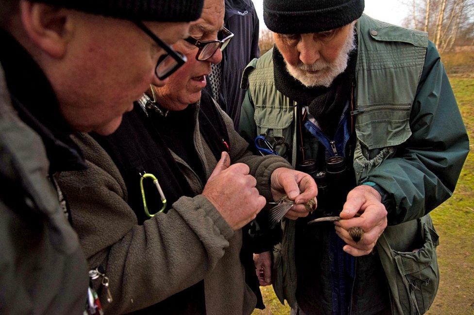 David and the group discuss the age of a lesser redpoll