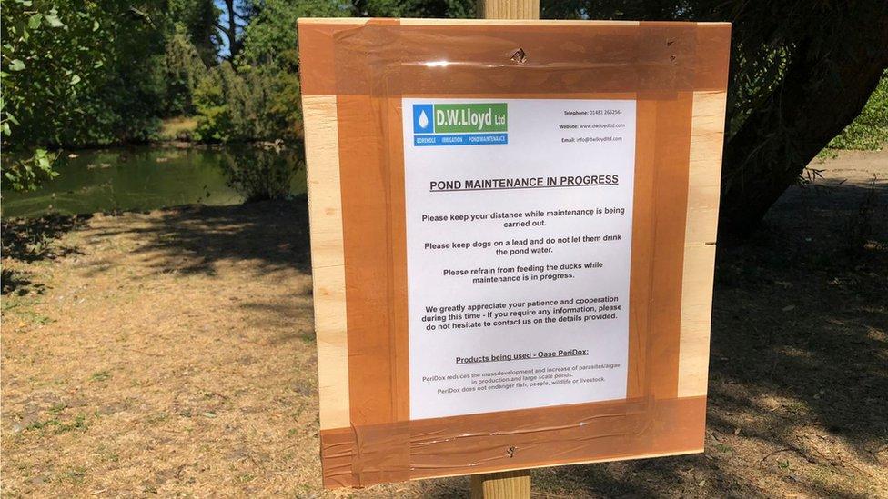 A sign at the pond in Saumerez Park, Guernsey