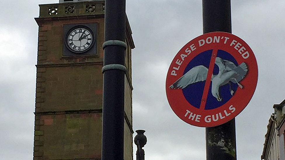 Gull sign