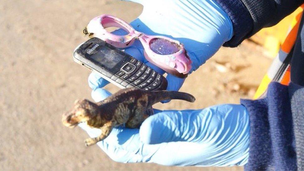 A dinosaur, goggles and mobile phone