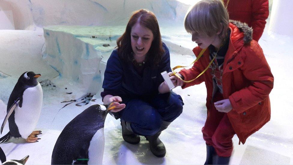 Fred feeding penguins