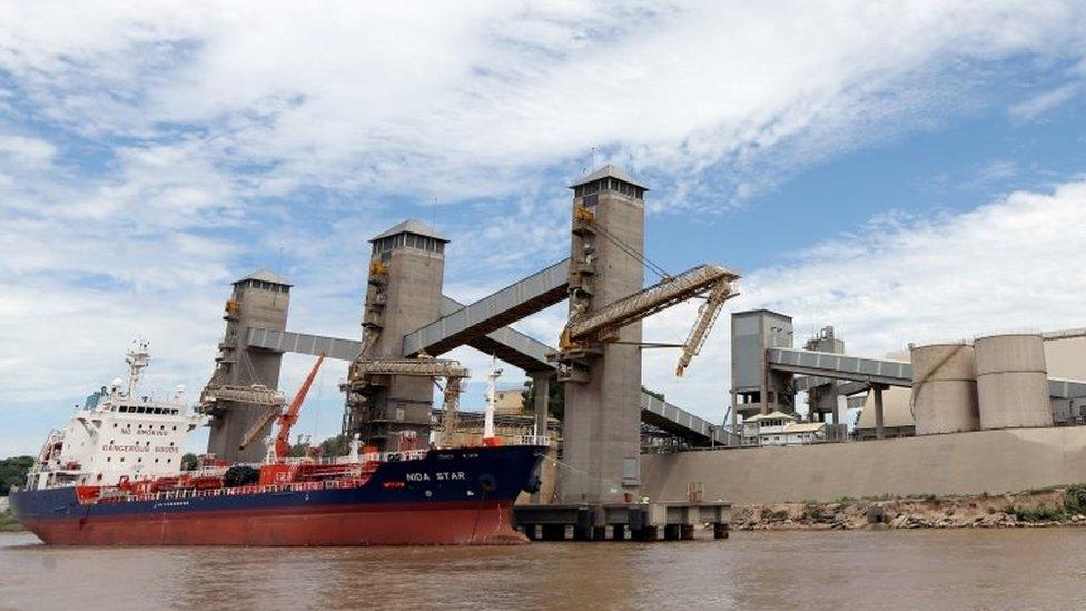 Grain is loaded aboard ships on a port on the Parana river near Rosario, Argentina, January 31, 2017.