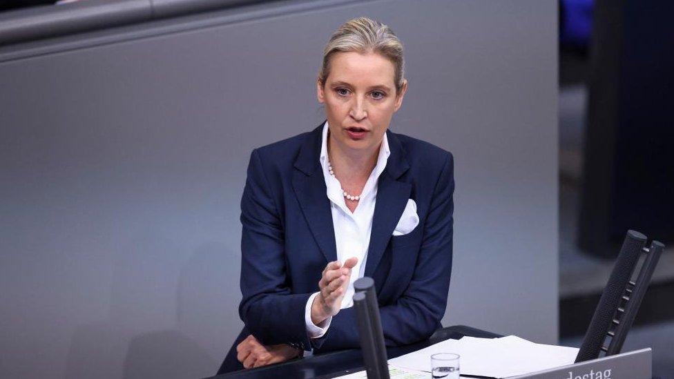 Alice Weidel, co-leader of the Alternative for Germany party (AfD), speaks on the day German Chancellor Olaf Scholz delivers a government declaration on the budget situation to the lower house of parliament Bundestag in Berlin, Germany, November 28