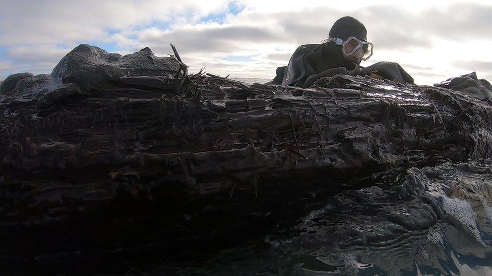 Diver Shawn Bath inspects the ship wreckage off the coast of Newfoundland