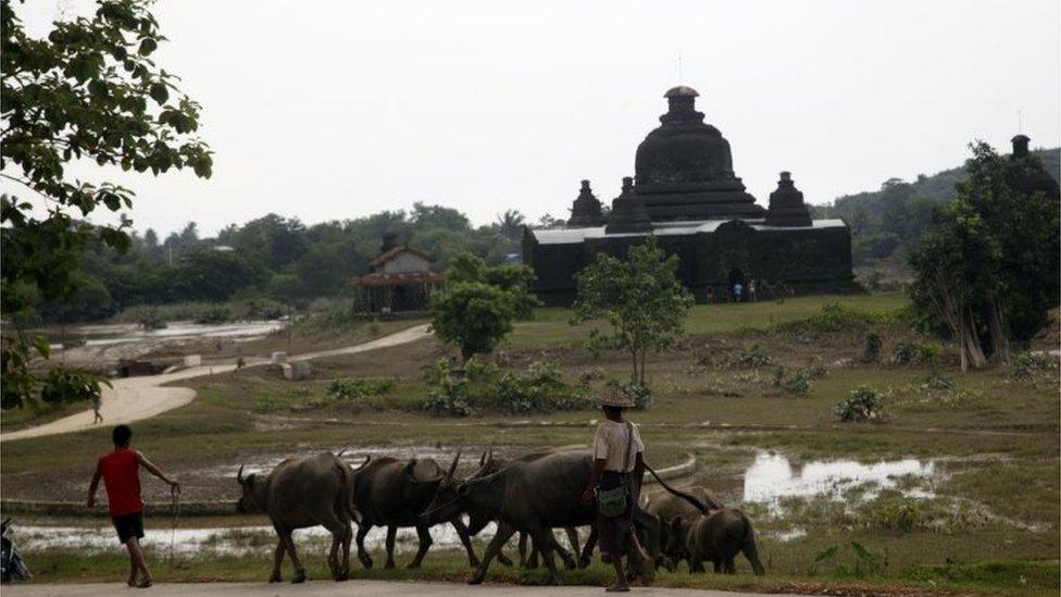 Local residents walk with buffalos near a pagoda in Myauk U, Rakhine State, western Myanmar, Tuesday, Aug 4, 2015.