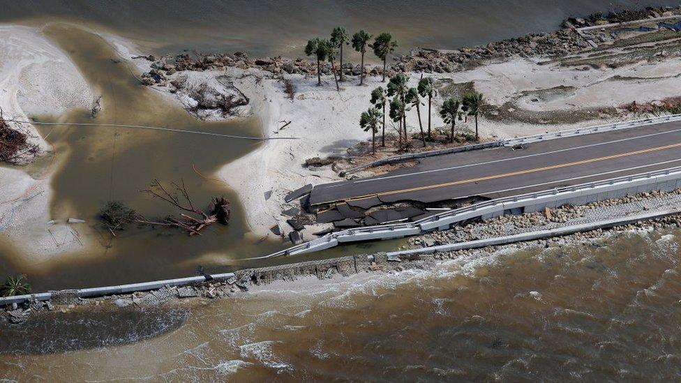 a florida motorway underwater with fallen trees near the coast following hurricane ian