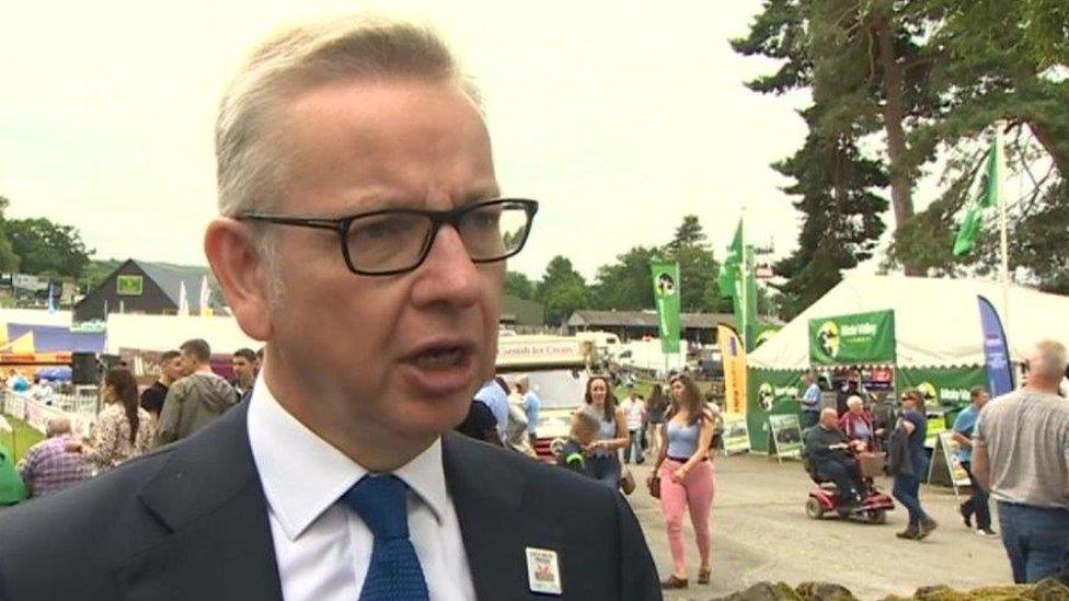 Michael Gove