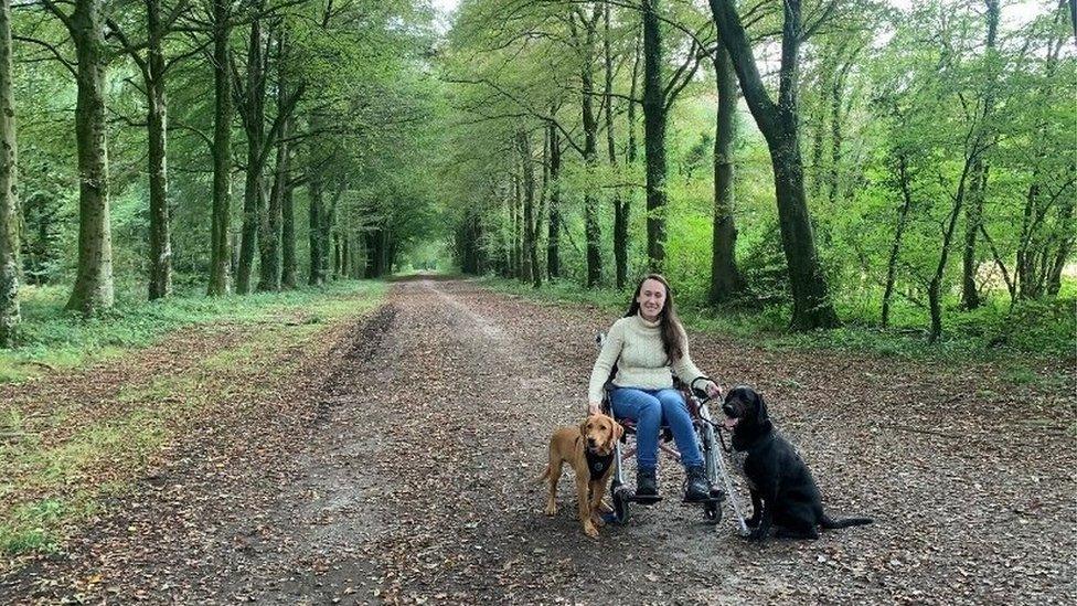 Ms Ray in her wheelchair with her dogs. They are at a forest.